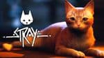 Stray review: The game You play as a cat