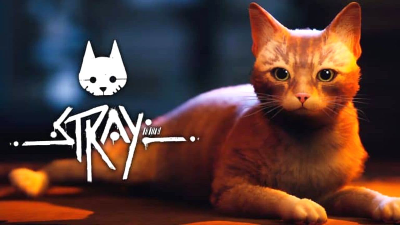 Stray review: The game You play as a cat