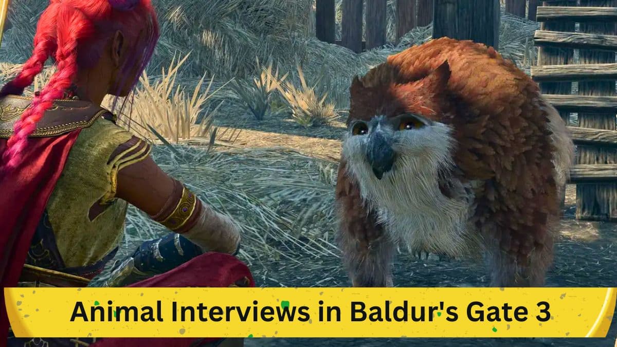 The Intricacies of Animal Interviews in Baldur's Gate 3: A Comprehensive Guide