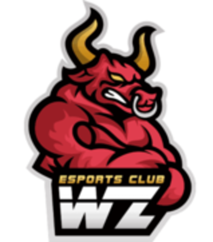 WanZhen Esports Club