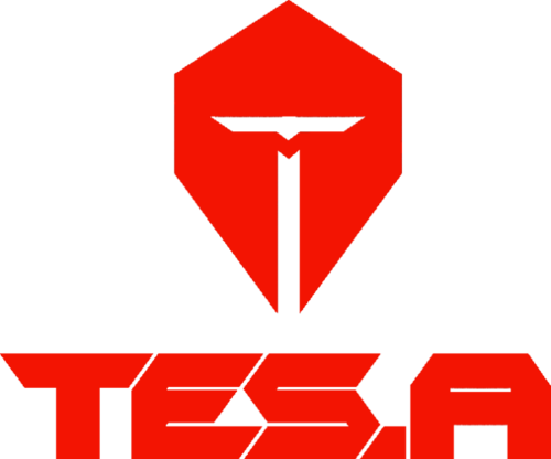 TOP Esports Armor