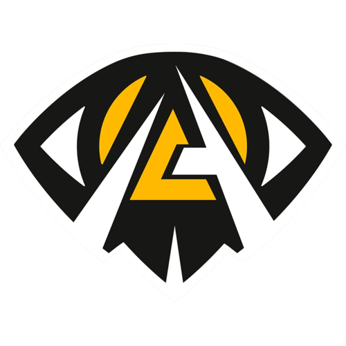 Anonymo Esports