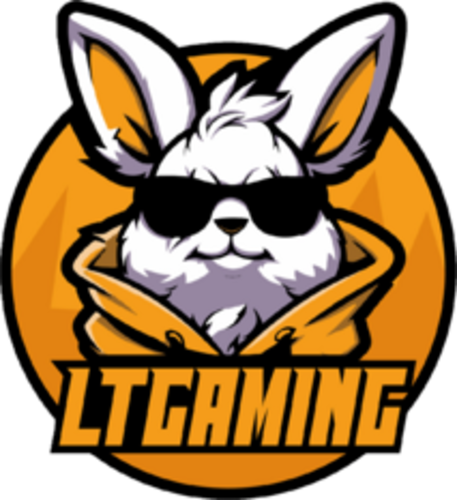 LT Gaming