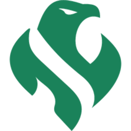 Riyadh Falcons