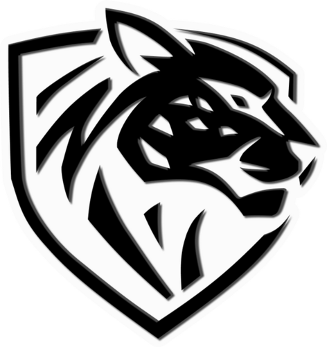 Ilbirs eSports