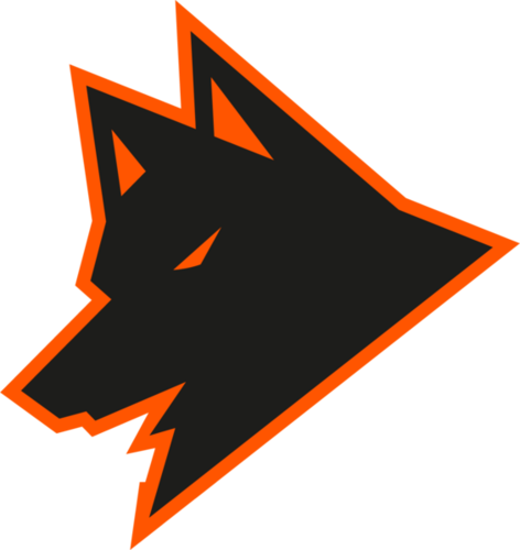 Guara Esports