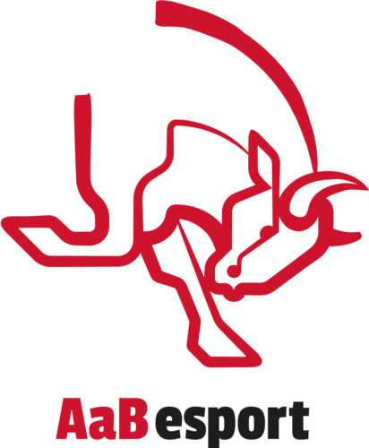 AaB Bulls