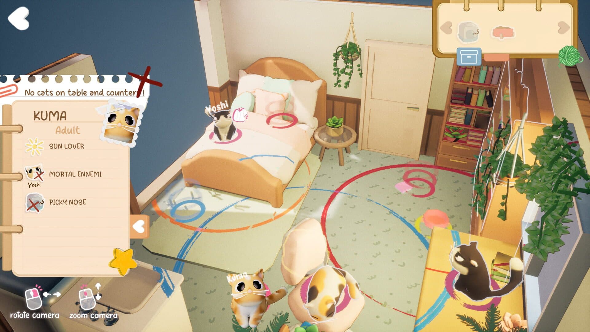 Kitty Haven