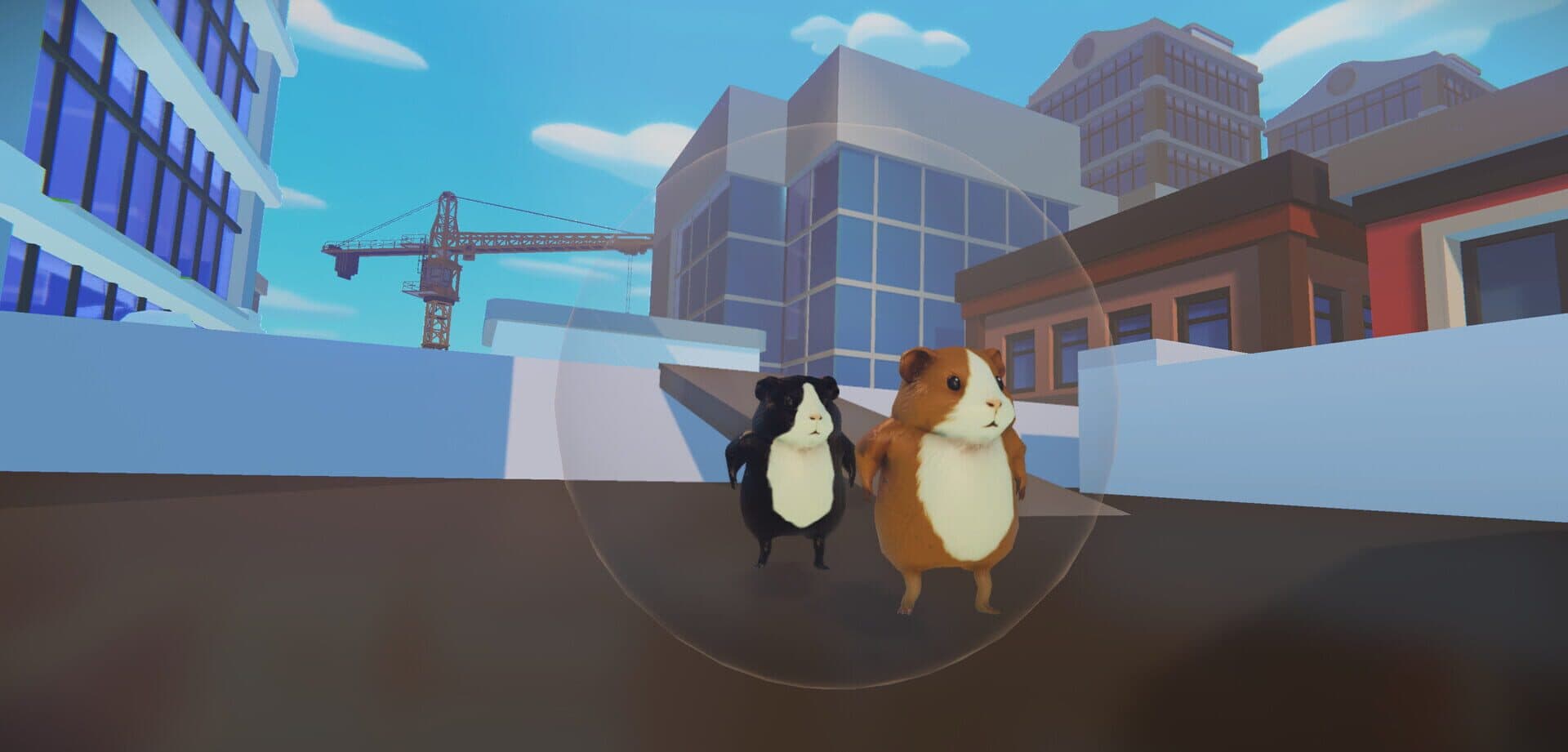 Guinea Pig Runaway Together