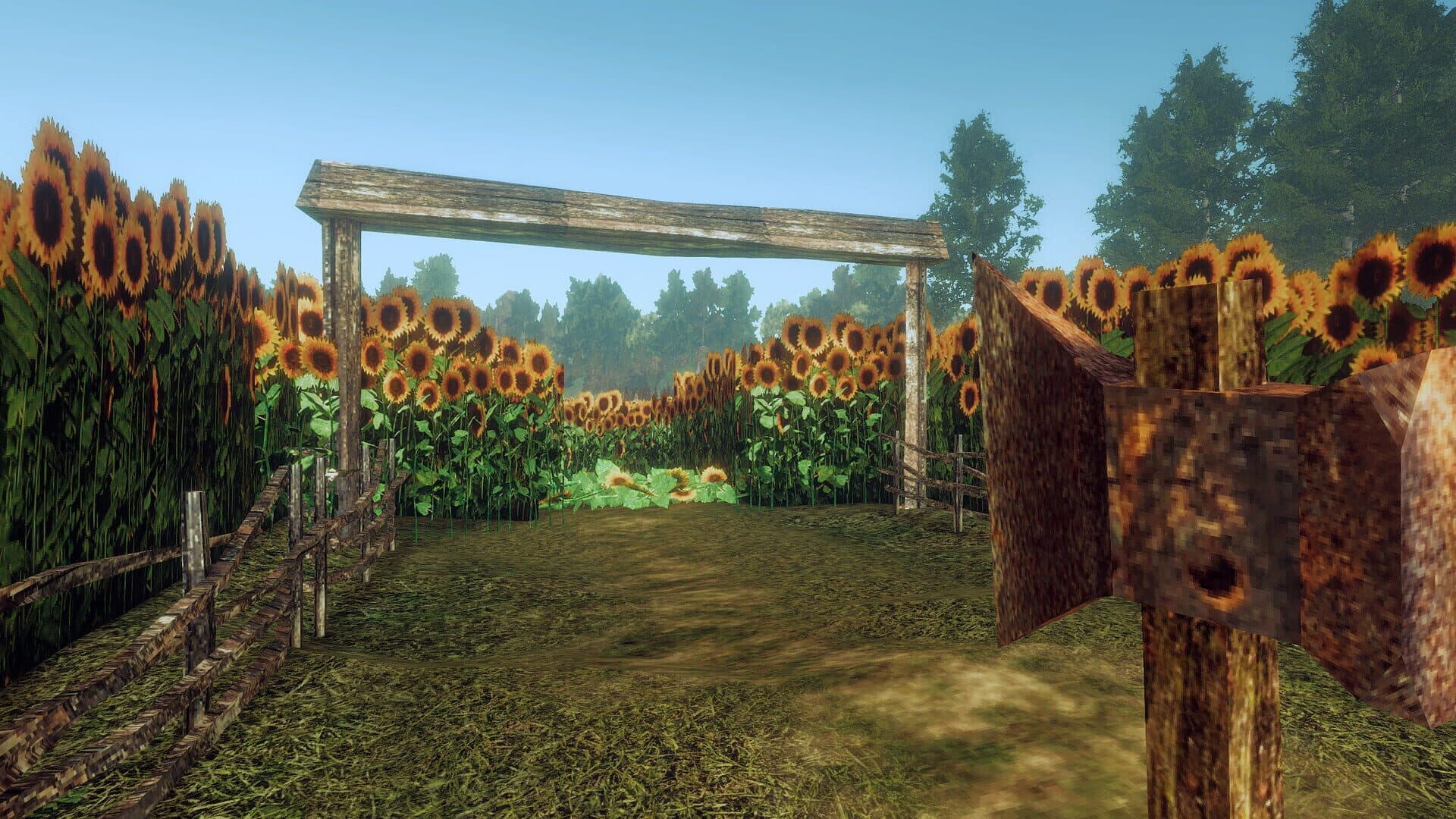 Dread Fields