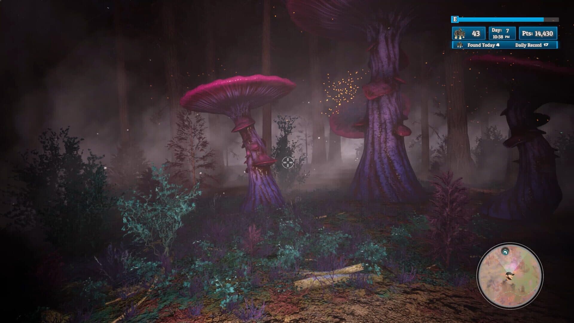 Morels: Out of this World