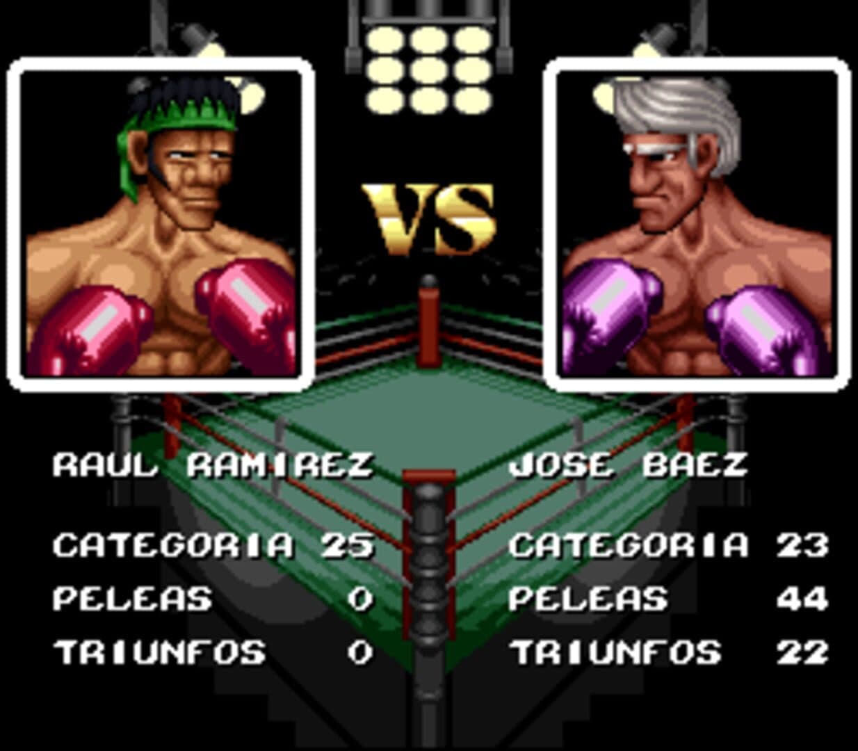 Riddick Bowe Boxing