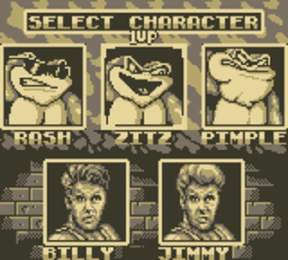Battletoads / Double Dragon