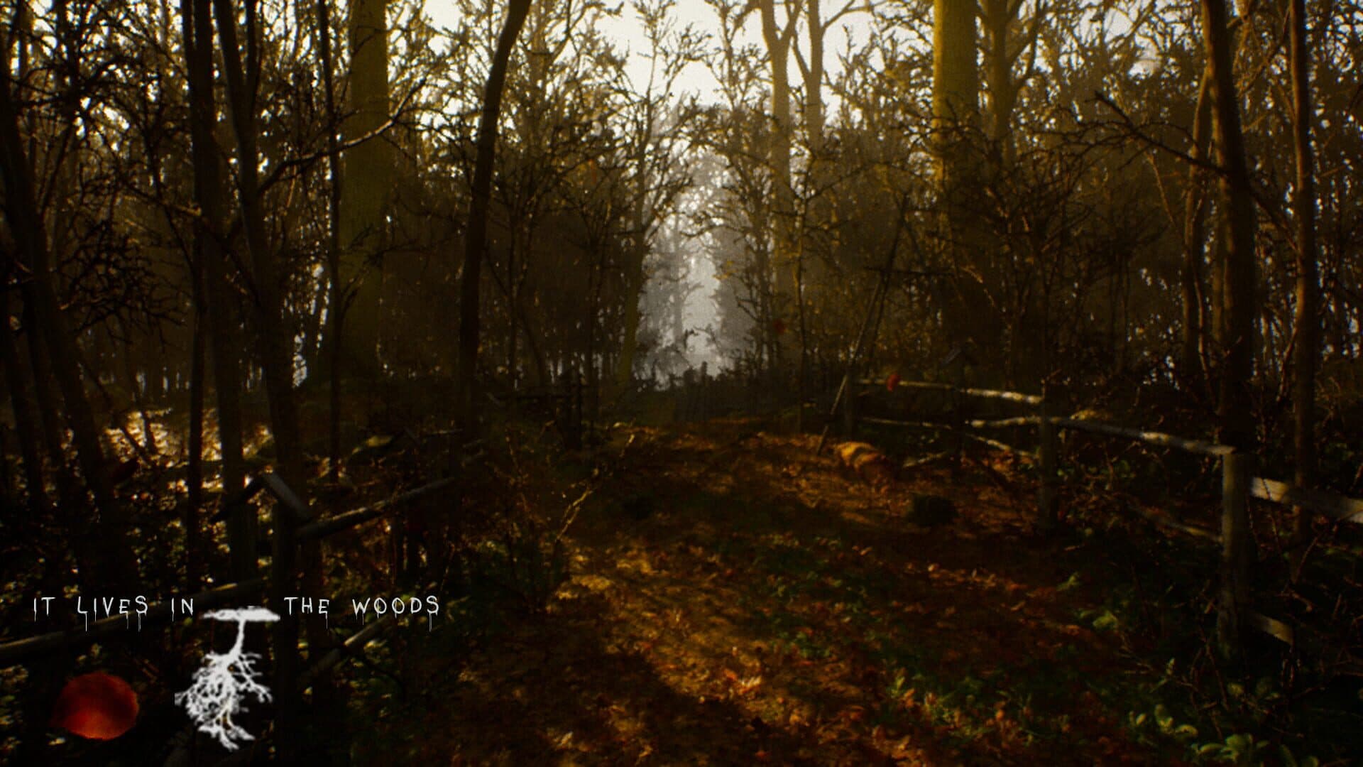It Lives in the Woods