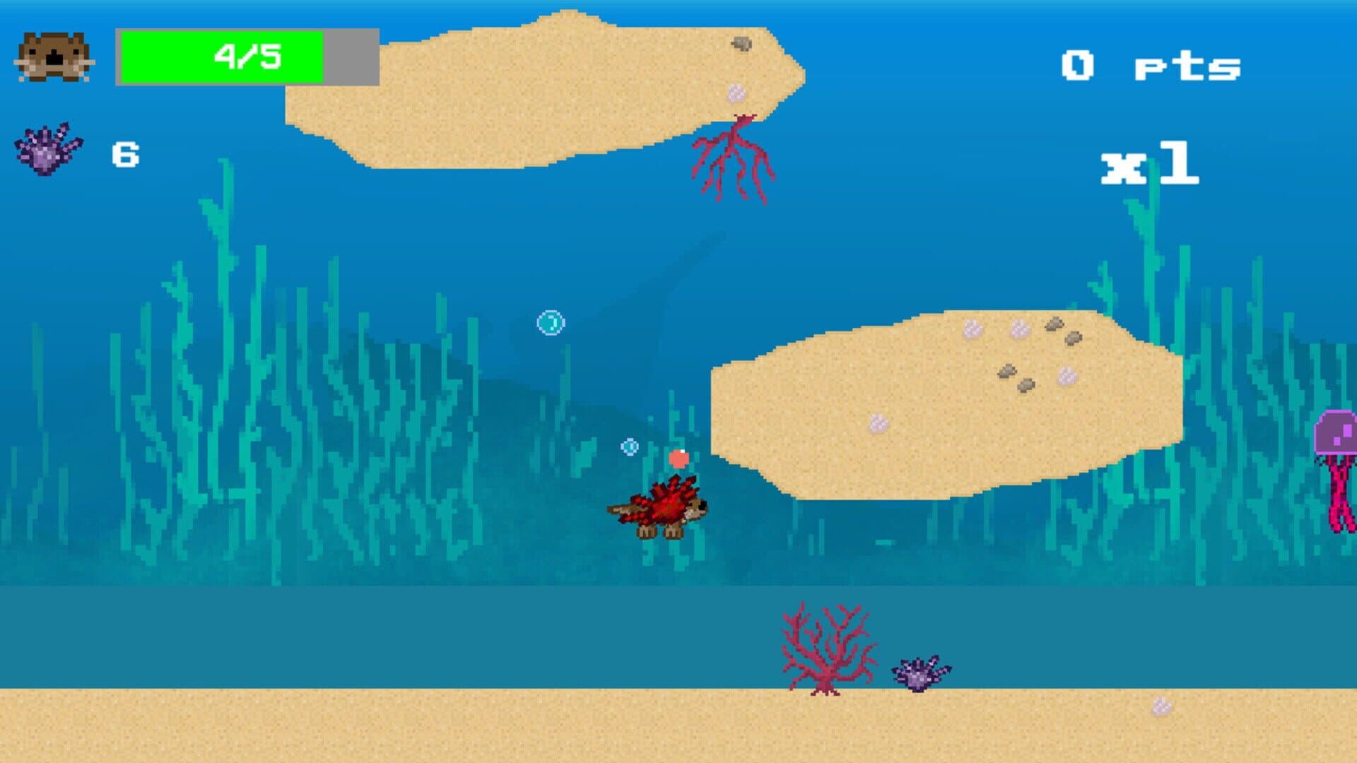 Kelp Keeper