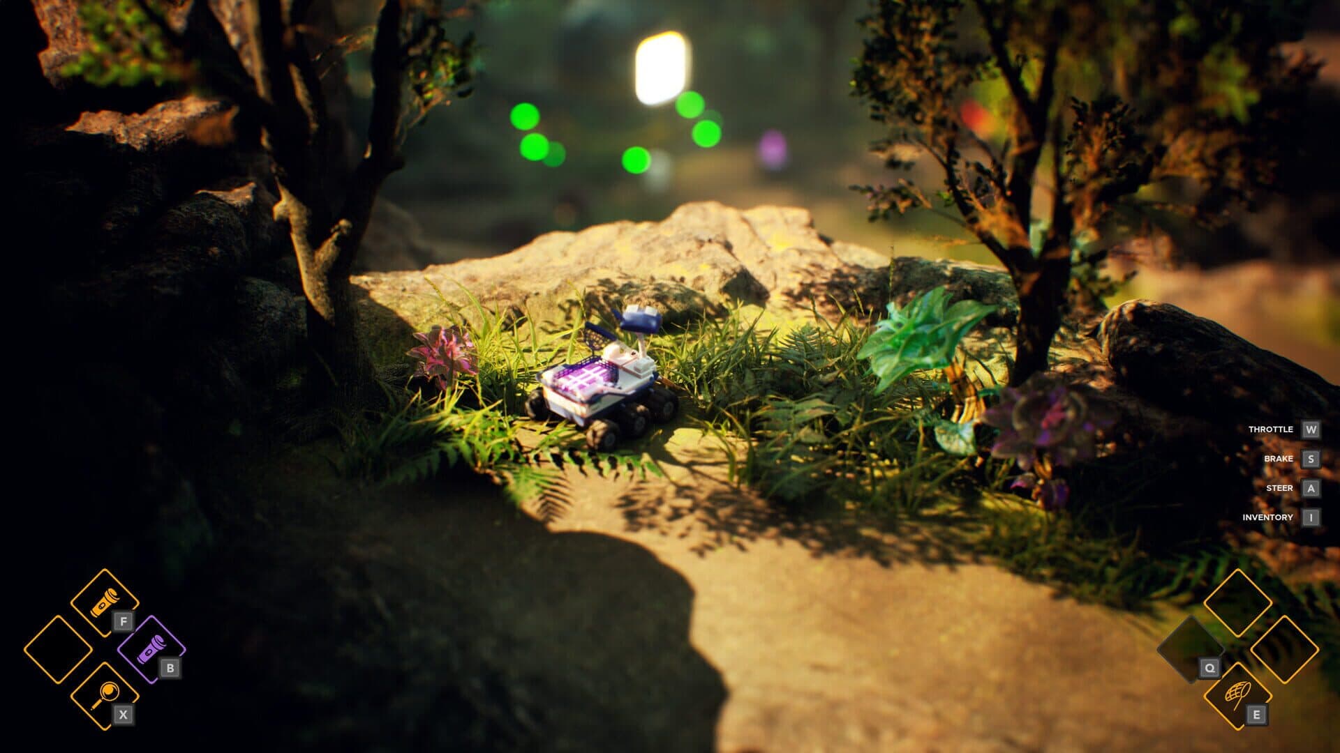Rover's Tale