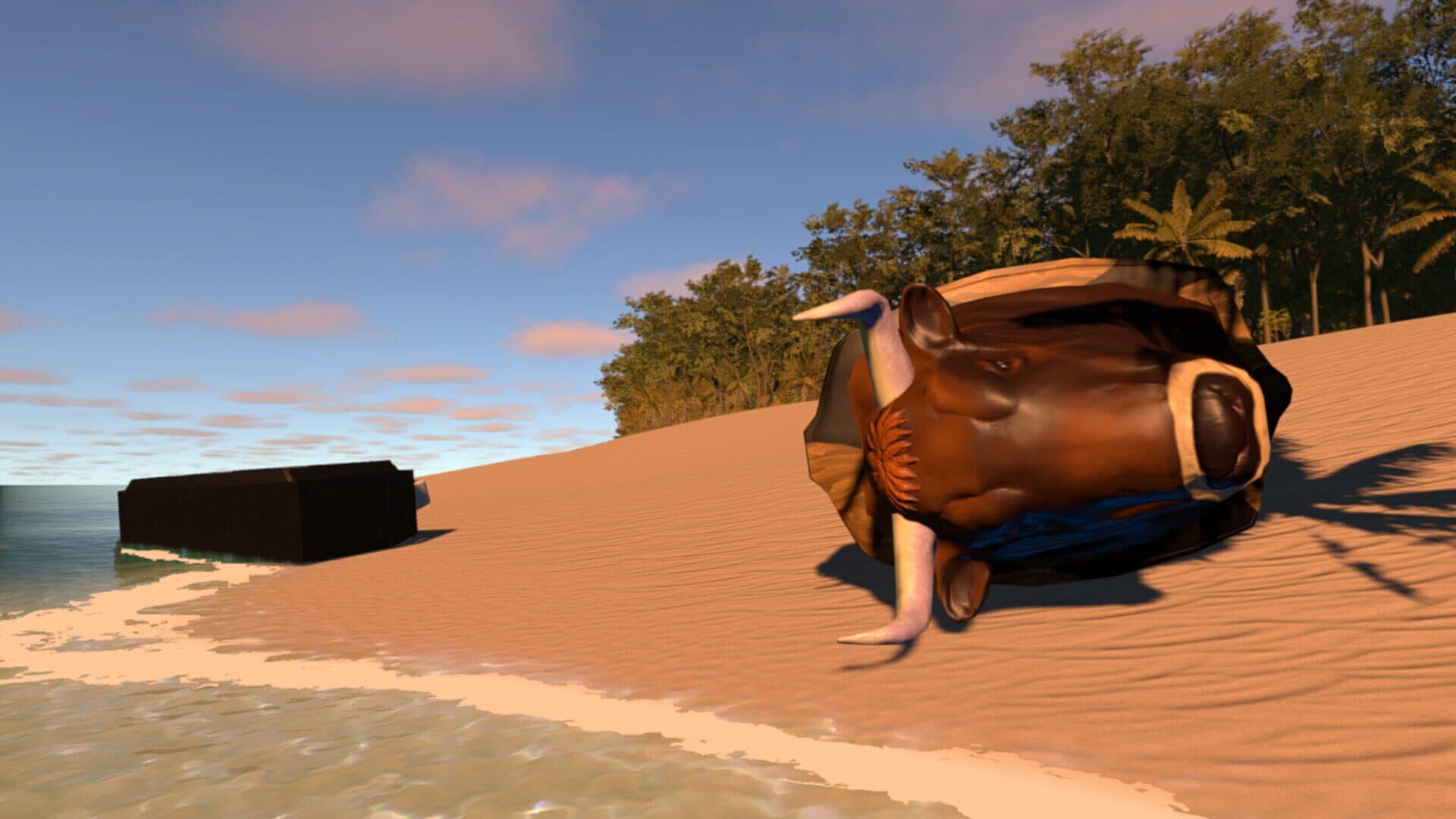 Escape the Beach