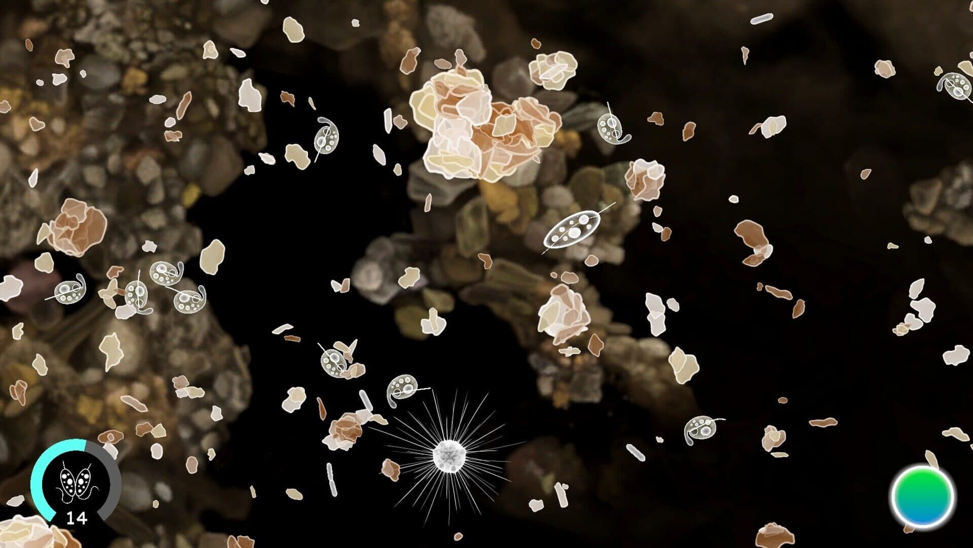 Cellscape