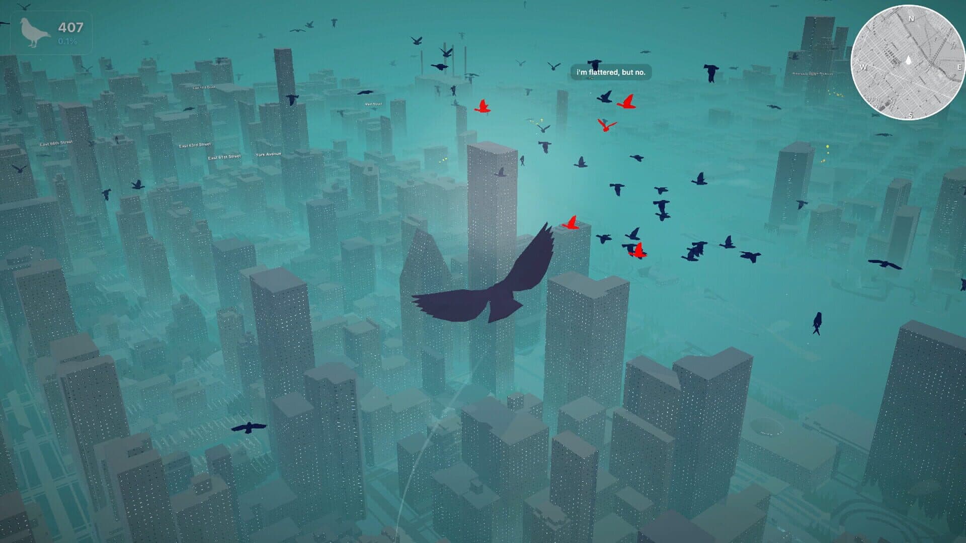 Pigeon: A Love Story