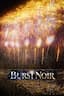 Burst Noir: Fireworks Simulator