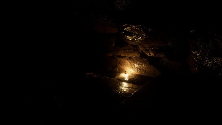 The Remains screenshot 1