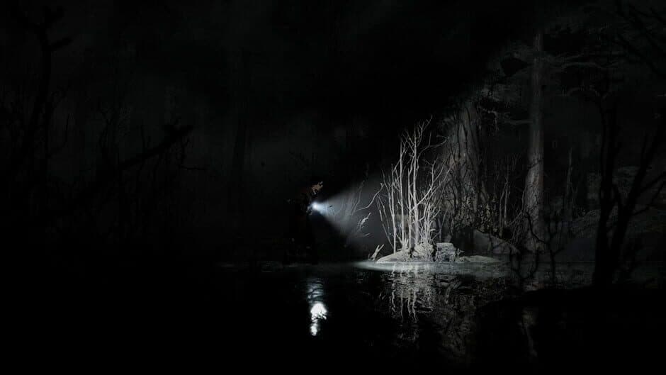 Silver Pines screenshot 5