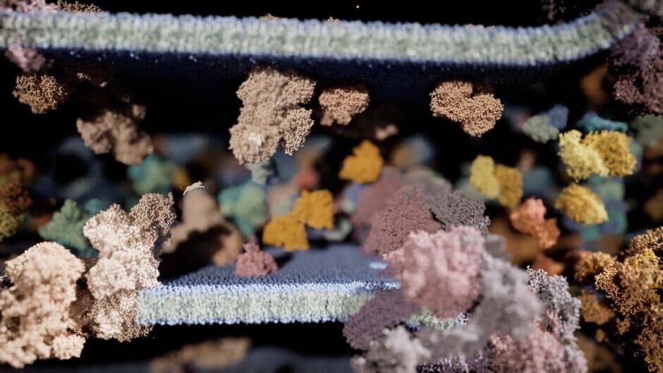 Meowtabolism: Examining Feline Behavior Within Unicellular Algae screenshot 2