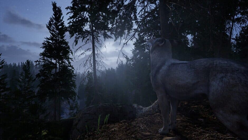 Online: 404 screenshot 8