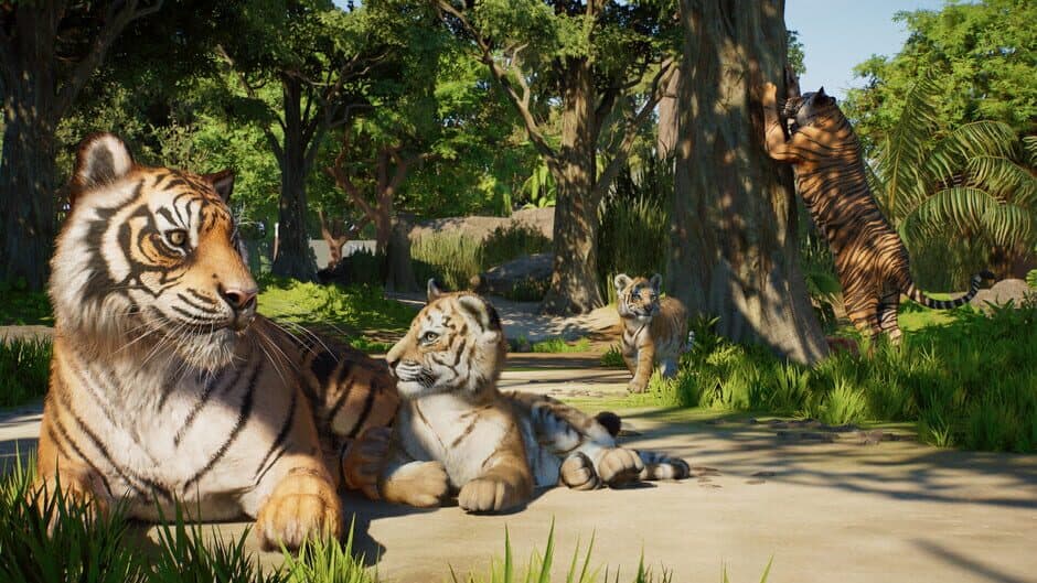 Planet Zoo 2 screenshot 5