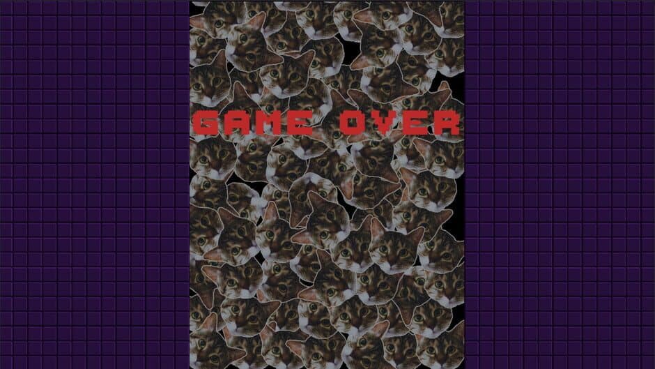 Lunyatic Invaders screenshot 5