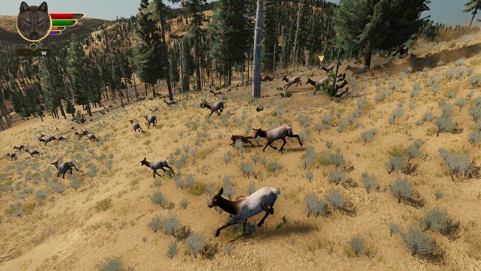 WolfQuest: Anniversary Edition screenshot 4