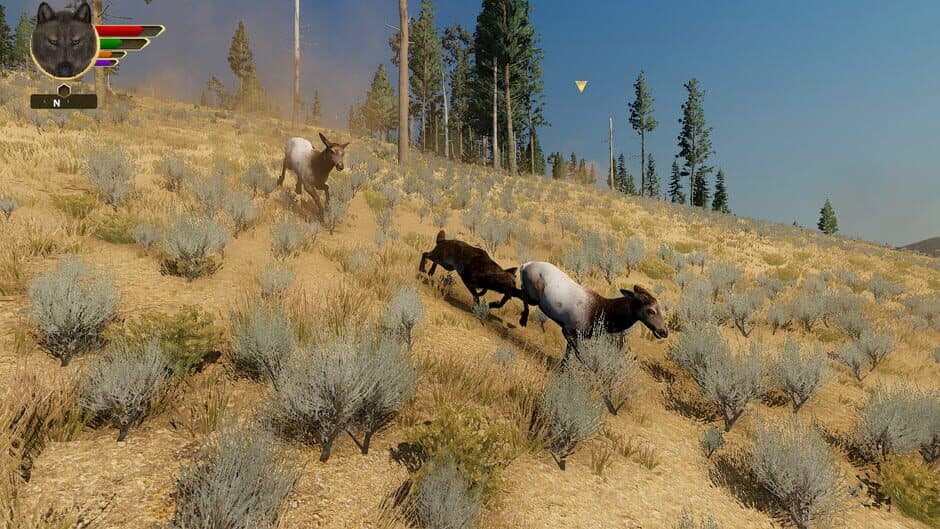 WolfQuest: Anniversary Edition screenshot 6