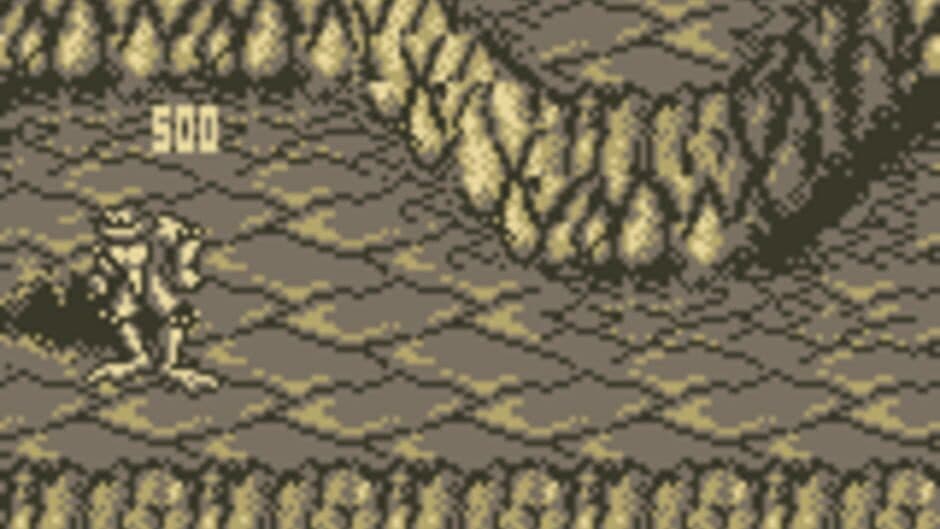 Battletoads in Ragnarok's World screenshot 2