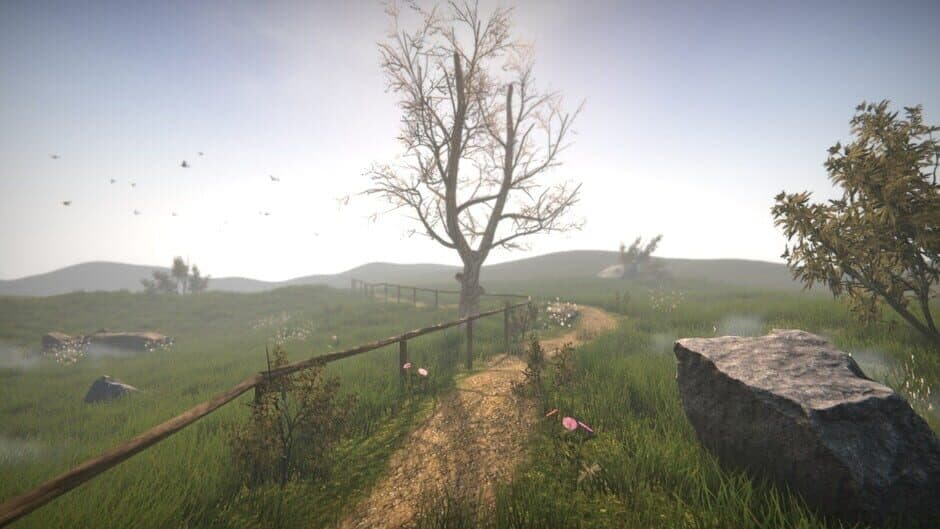 Dr. Emmerson's Nocturnes screenshot 4