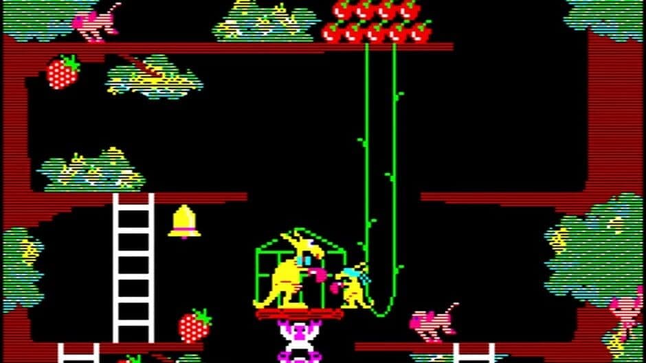 Kangaroo screenshot 3