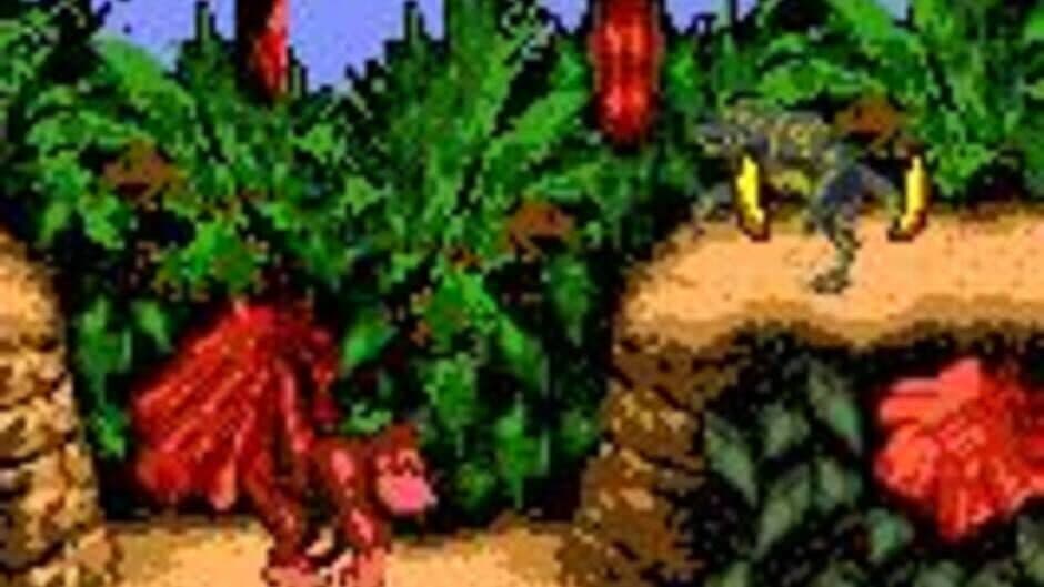 Donkey Kong Country screenshot 6
