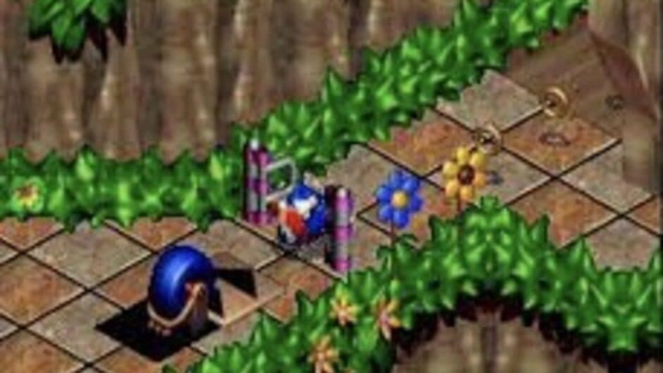 Sonic 3D Blast screenshot 7