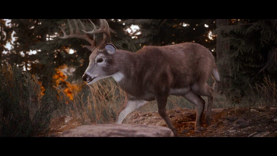 Hunting Simulator 3 screenshot 3