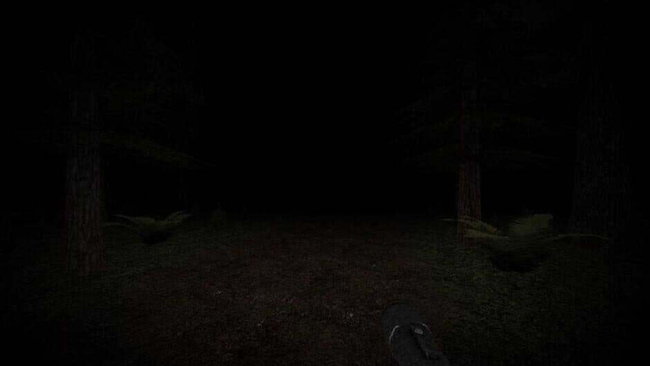 Slender's Woods screenshot 5