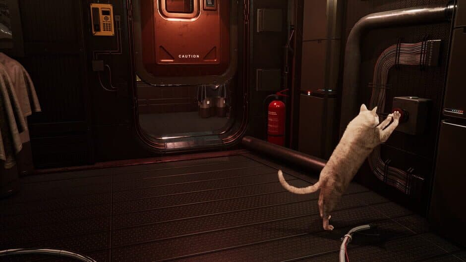 Catfall screenshot 3