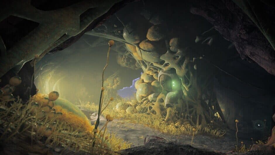 Destiny 2: The Edge of Fate screenshot 4