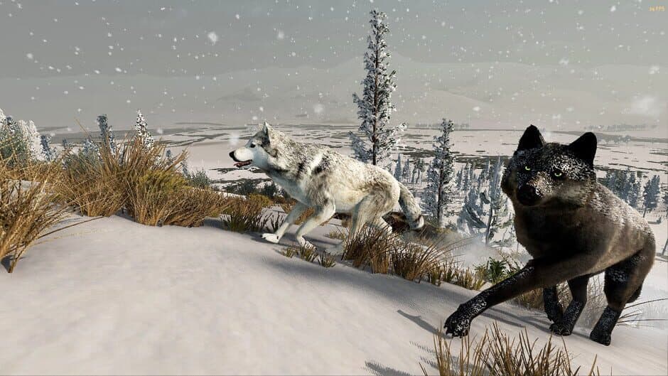 WolfQuest: Anniversary Edition screenshot 8