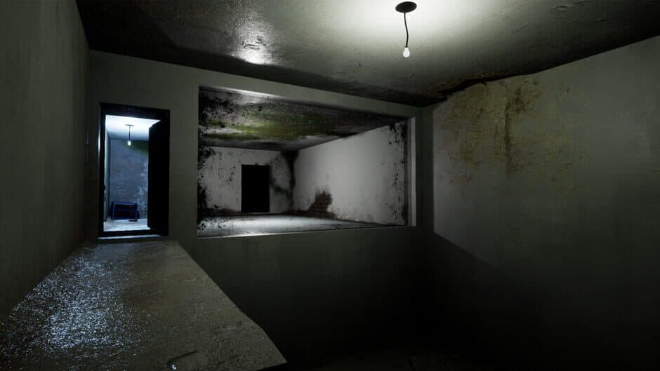 Schizophrenia: R.E.M. Protocol screenshot 1