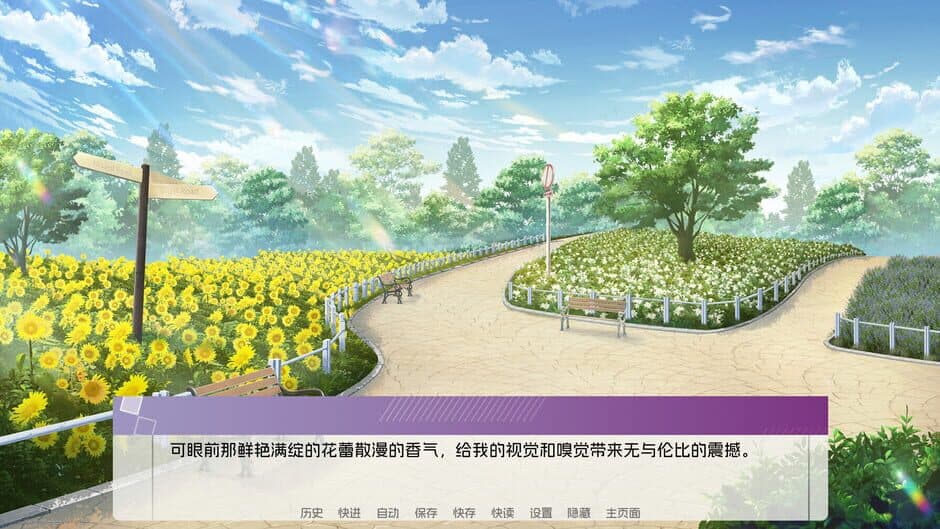Wayfarer Of Hydrangea screenshot 8