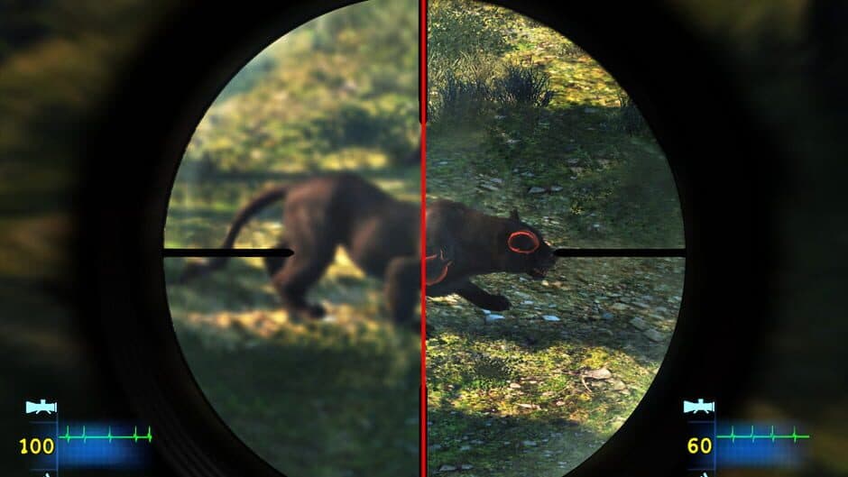 Cabela's Dangerous Hunts 2013 screenshot 8