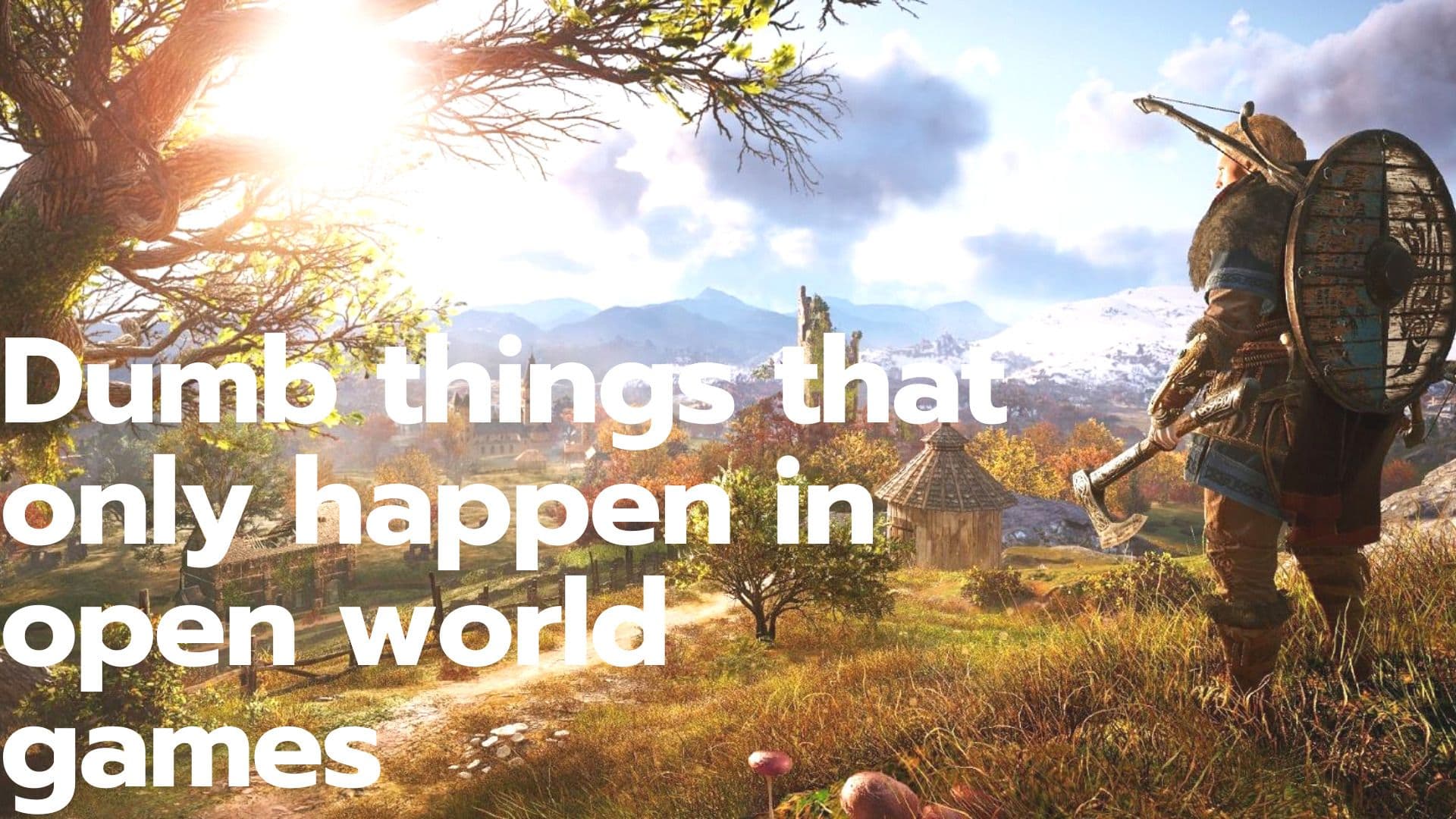 Dumb things that happen only in open world games.