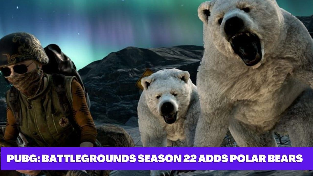 PUBG: Battlegrounds Season 22 Adds Polar Bears to the Arctic for More Thrilling Gameplay