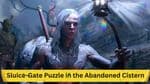 Baldur's Gate 3: Navigating the Sluice-Gate Puzzle in the Abandoned Cistern