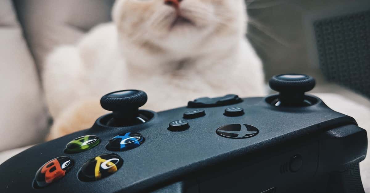Xbox Eyes Radical Business Models for Next Console Affordability