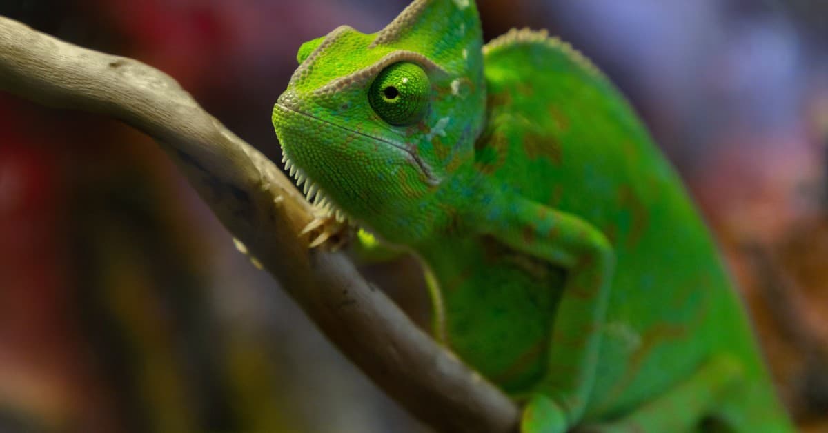 Meccha Chameleon Surpasses 7 Million Sales as Players Recreate Mona Lisa In-Game